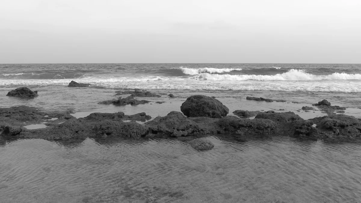Lakshadweep intertidal landscape; regional image, not Amini